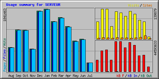 Usage summary for SERVEUR